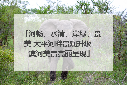 河畅、水清、岸绿、景美 太平河畔景观升级 滨河美景亮丽呈现