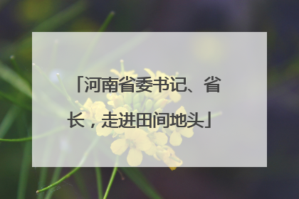 河南省委书记、省长，走进田间地头