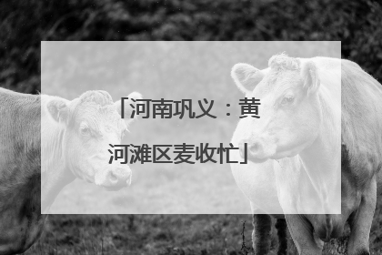 河南巩义：黄河滩区麦收忙