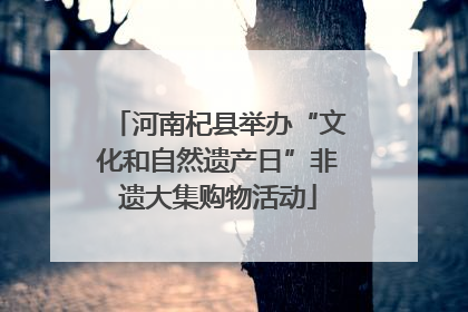 河南杞县举办“文化和自然遗产日”非遗大集购物活动