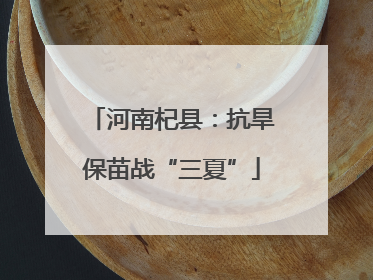 河南杞县：抗旱保苗战“三夏”