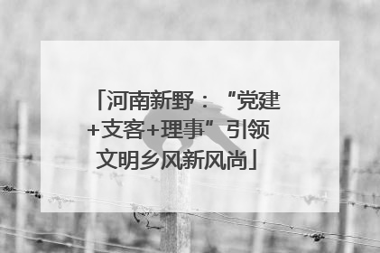 河南新野：“党建+支客+理事”引领文明乡风新风尚