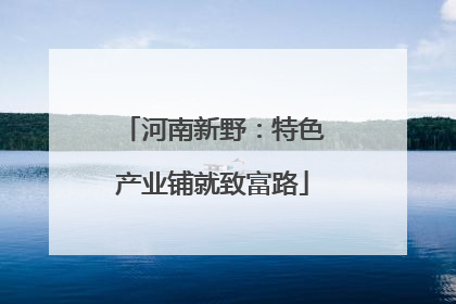 河南新野：特色产业铺就致富路