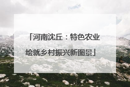 河南沈丘：特色农业绘就乡村振兴新图景
