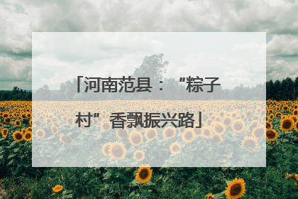 河南范县：“粽子村”香飘振兴路