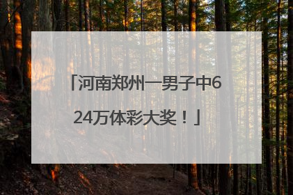 河南郑州一男子中624万体彩大奖！