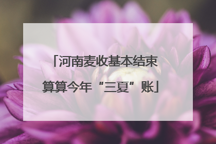 河南麦收基本结束 算算今年“三夏”账