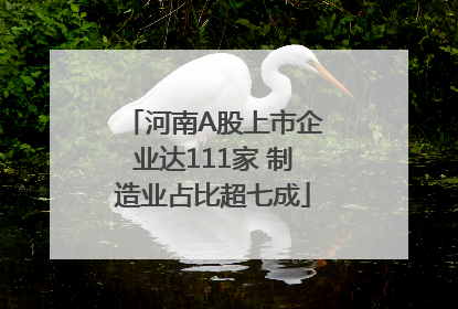 河南A股上市企业达111家 制造业占比超七成