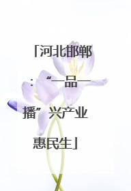 河北邯郸：“一品一播”兴产业惠民生