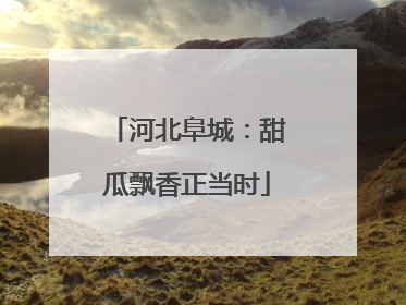 河北阜城：甜瓜飘香正当时