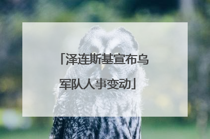 泽连斯基宣布乌军队人事变动