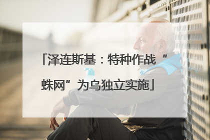 泽连斯基：特种作战“蛛网”为乌独立实施