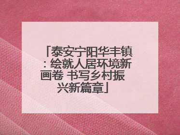 泰安宁阳华丰镇：绘就人居环境新画卷 书写乡村振兴新篇章