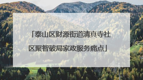 泰山区财源街道清真寺社区聚智破局家政服务痛点