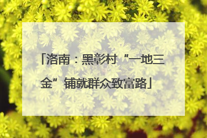 洛南：黑彰村“一地三金”铺就群众致富路
