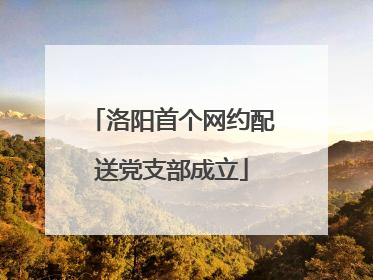 洛阳首个网约配送党支部成立
