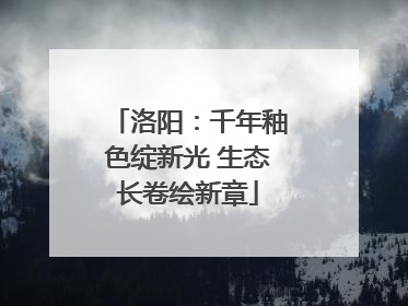 洛阳：千年釉色绽新光 生态长卷绘新章