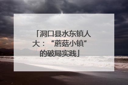 洞口县水东镇人大：“蘑菇小镇”的破局实践