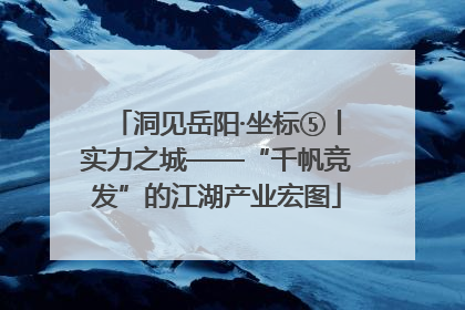 洞见岳阳·坐标⑤丨实力之城——“千帆竞发”的江湖产业宏图