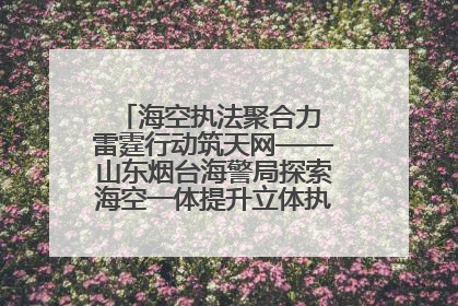 海空执法聚合力 雷霆行动筑天网——山东烟台海警局探索海空一体提升立体执法效能纪实