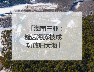 海南三亚：糙齿海豚被成功放归大海