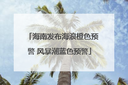 海南发布海浪橙色预警 风暴潮蓝色预警