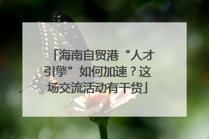 海南自贸港“人才引擎”如何加速？这场交流活动有干货