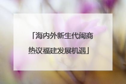 海内外新生代闽商热议福建发展机遇