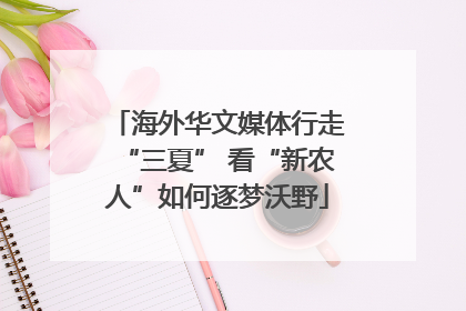 海外华文媒体行走“三夏” 看“新农人”如何逐梦沃野