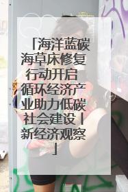 海洋蓝碳海草床修复行动开启 循环经济产业助力低碳社会建设丨新经济观察