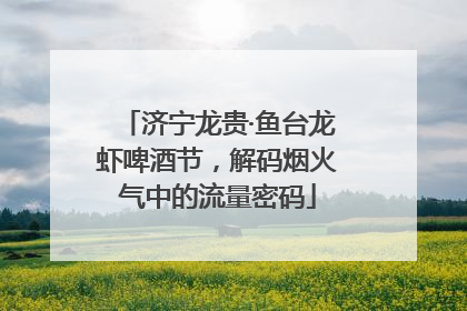 济宁龙贵·鱼台龙虾啤酒节，解码烟火气中的流量密码