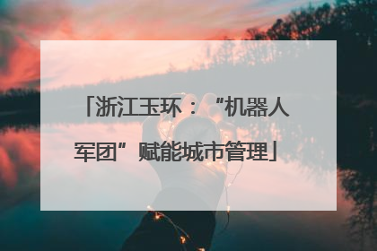 浙江玉环：“机器人军团”赋能城市管理