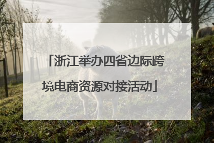 浙江举办四省边际跨境电商资源对接活动