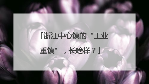 浙江中心镇的“工业重镇”，长啥样？