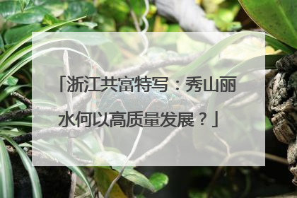 浙江共富特写：秀山丽水何以高质量发展？