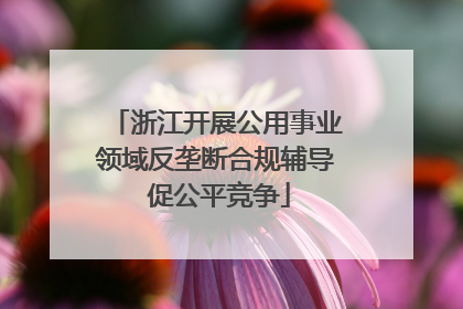 浙江开展公用事业领域反垄断合规辅导 促公平竞争