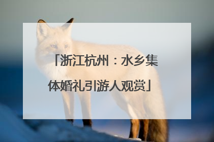 浙江杭州：水乡集体婚礼引游人观赏