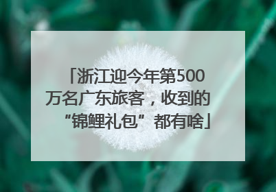浙江迎今年第500万名广东旅客，收到的“锦鲤礼包”都有啥