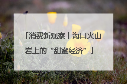 消费新观察丨海口火山岩上的“甜蜜经济”
