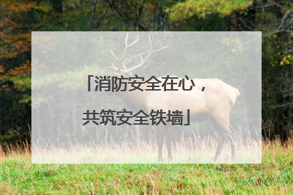 消防安全在心，共筑安全铁墙