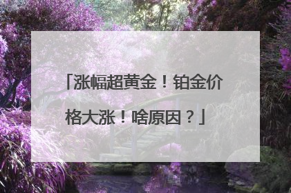 涨幅超黄金！铂金价格大涨！啥原因？