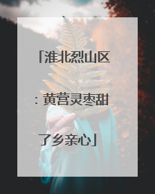 淮北烈山区：黄营灵枣甜了乡亲心