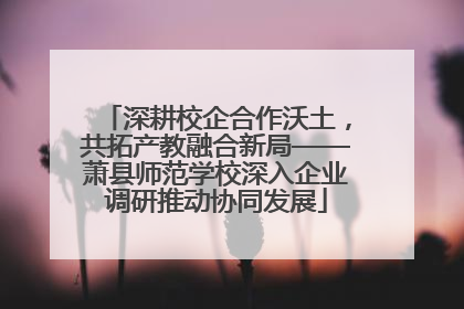 深耕校企合作沃土，共拓产教融合新局——萧县师范学校深入企业调研推动协同发展