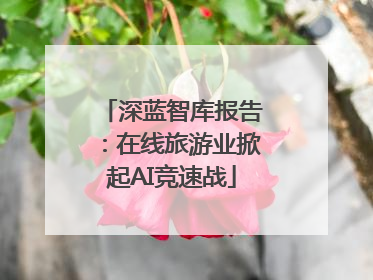 深蓝智库报告：在线旅游业掀起AI竞速战