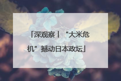 深观察丨“大米危机”撼动日本政坛