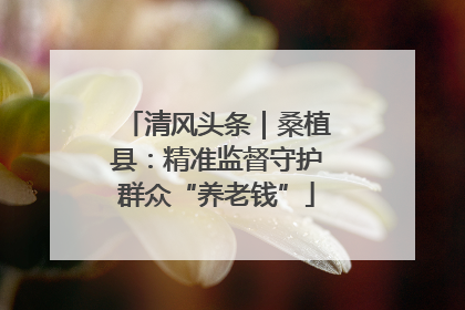 清风头条｜桑植县：精准监督守护群众“养老钱”