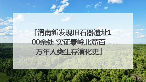 渭南新发现旧石器遗址100余处 实证秦岭北麓百万年人类生存演化史