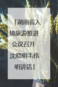湖南省入境旅游推进会议召开 沈晓明毛伟明讲话