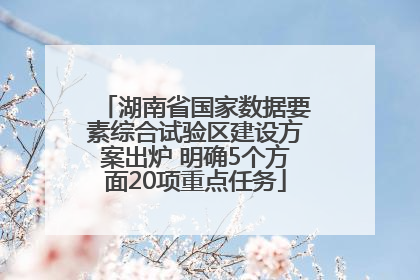 湖南省国家数据要素综合试验区建设方案出炉 明确5个方面20项重点任务