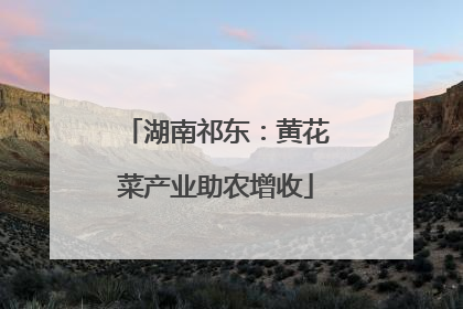 湖南祁东：黄花菜产业助农增收
